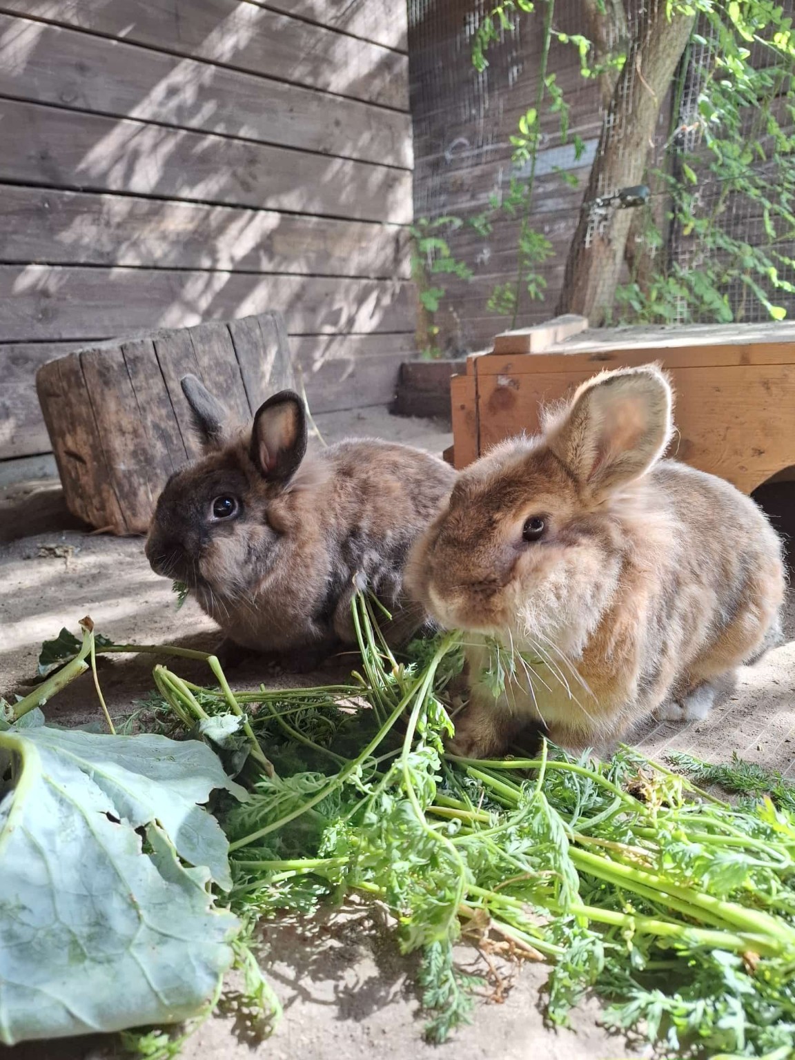 Kuschel & Puschel